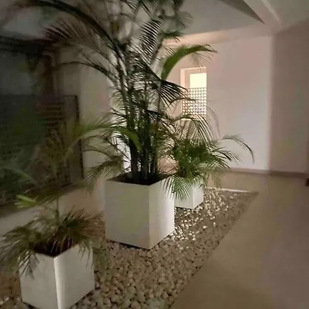 Close To Amenities 3 Bed/2 Bath In With Pool View!